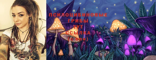 ALPHA PVP Беломорск